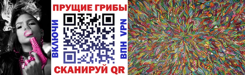 что такое   Геленджик  Псилоцибиновые грибы MAGIC MUSHROOMS 